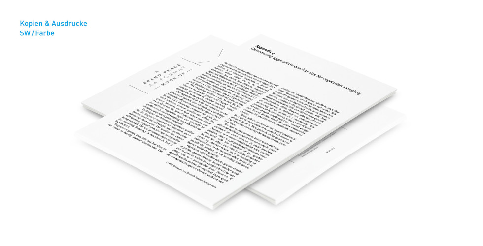 Kopien & Ausdrucke – Produktbeispiel